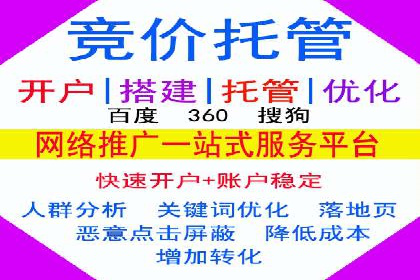 竞价代运营成功案例：助力企业抢占市场份额